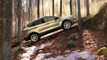 2013 FORD KUGA