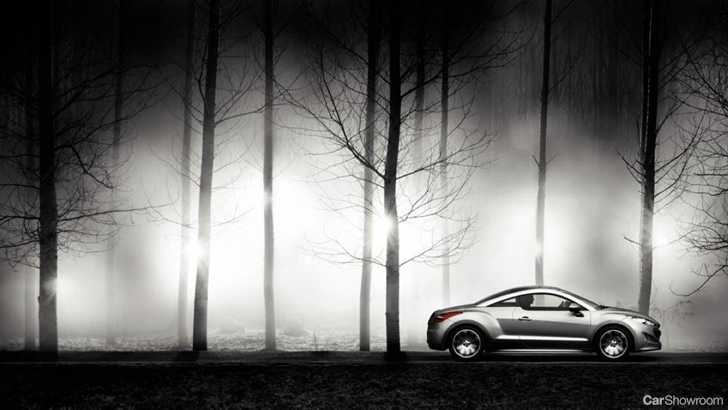 2010 PEUGEOT RCZ