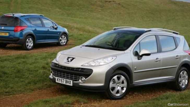2010 PEUGEOT 207
