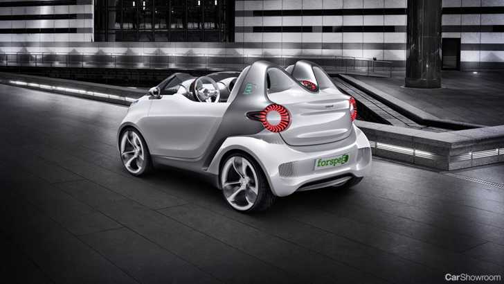 2010 SMART