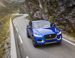 JAGUAR