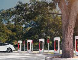 TESLA