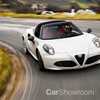 2015 ALFA ROMEO 4C