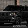 Jeep Renegade Deserthawk & Altitude Break Cover