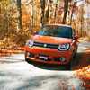 2017 Suzuki Ignis: Funky Crossover Detailed