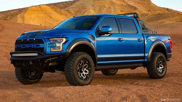 2018 Shelby Baja Raptor