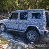 2018 Mercedes-Benz G-Class