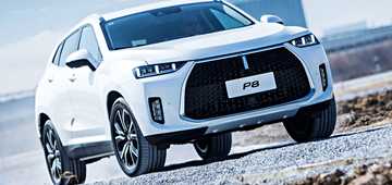 2018 Wey P8
