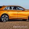 2019 Audi Q8