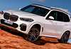 ’19 BMW X5 Here November – All Diesel, From $113k