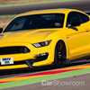 The 2020 Ford Mustang GT500, Leaking Profusely In Print
