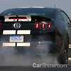The 2020 Ford Mustang GT500, Leaking Profusely In Print