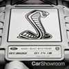 The 2020 Ford Mustang GT500, Leaking Profusely In Print