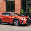 2019 Lexus UX250h F-Sport