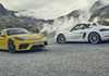 Porsche 718 Cayman GT4 & Boxster Spyder