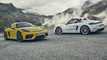 Porsche 718 Cayman GT4 & Boxster Spyder