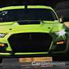 Ford’s Mean Green GT500 Shreds Rubber In Goodwood