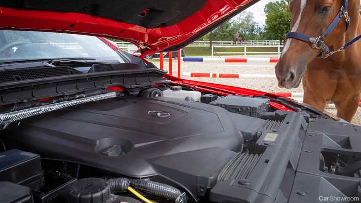 Mercedes-Benz’s Great Ute Experiment Might Fizzle Out Soon