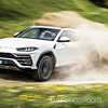 Bull Gets Blocked - Next Aventador Sidelined To 2024 By Urus