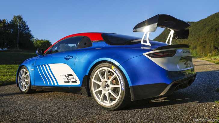 Alpine Outs Hardcore Rally-Spec A110