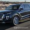 Hyundai AU May Field 8-Seat Telluride Circa 2020