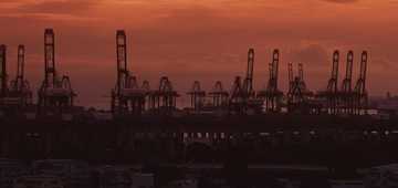 COVID-19: US Oil Price Plunges Below Zero, Aussie Petrol Price Drops Past $1